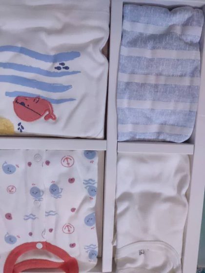 ست لباس ده تکه نوزادی بیوارگانیک سیسمونی بارنی|بهترین لباس نوزادی خارجی|خرید لباس نوزادی پسرانه ارزان قیمت